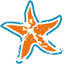 starfish64