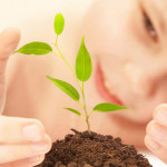 page16_picture0_slide_13