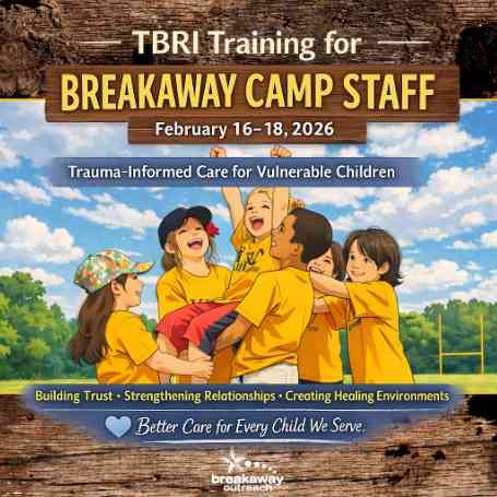 tbri training trauma